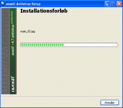 Avast Installation