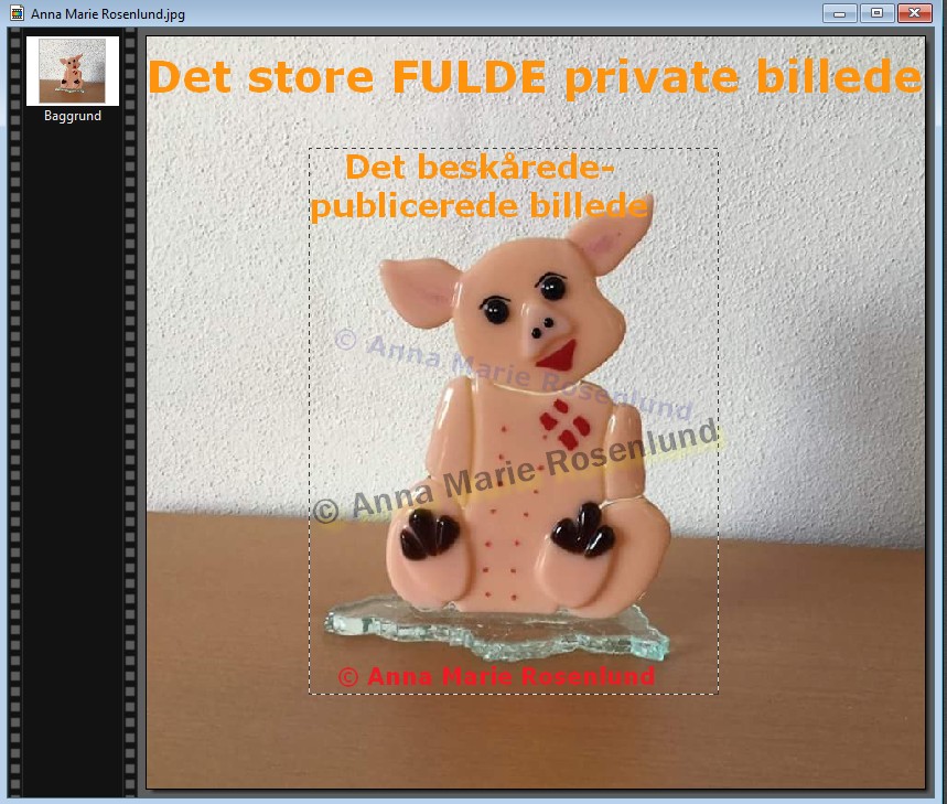 vandmærke med photofiltre vandmærke hvordan gør jeg